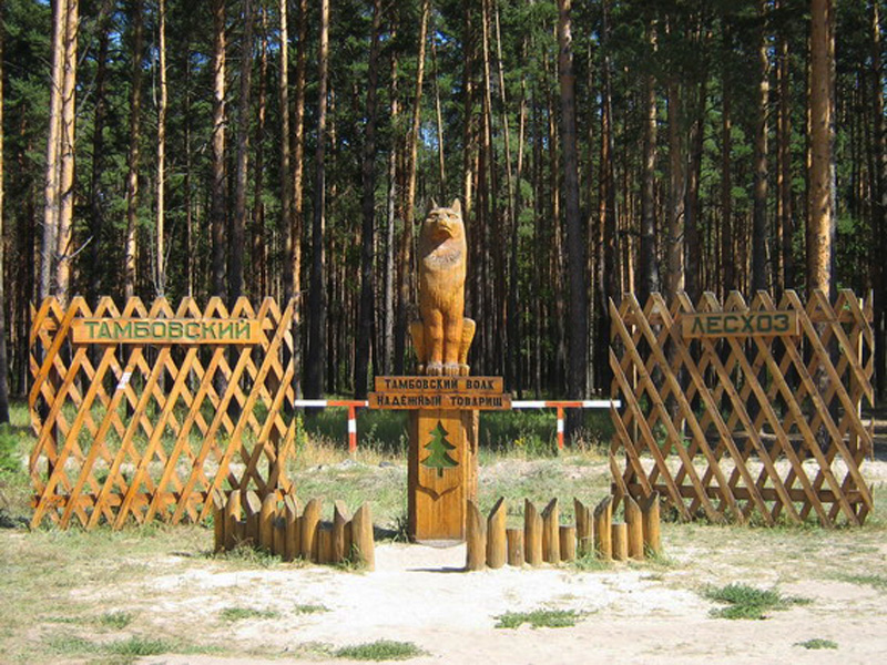 800x600, 299 Kb / Волк, тамбовский, лесхоз, товарищ, памятник