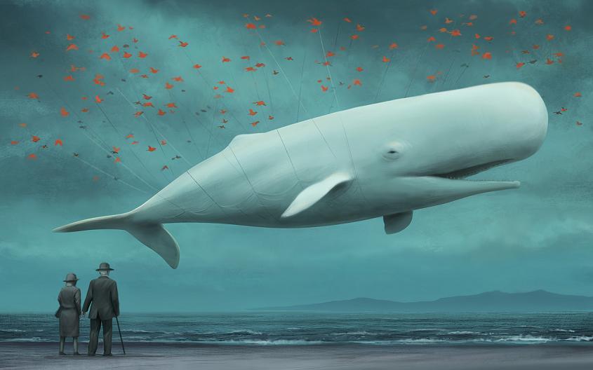 845x528, 40 Kb / кит, кашалот, рисунок, море