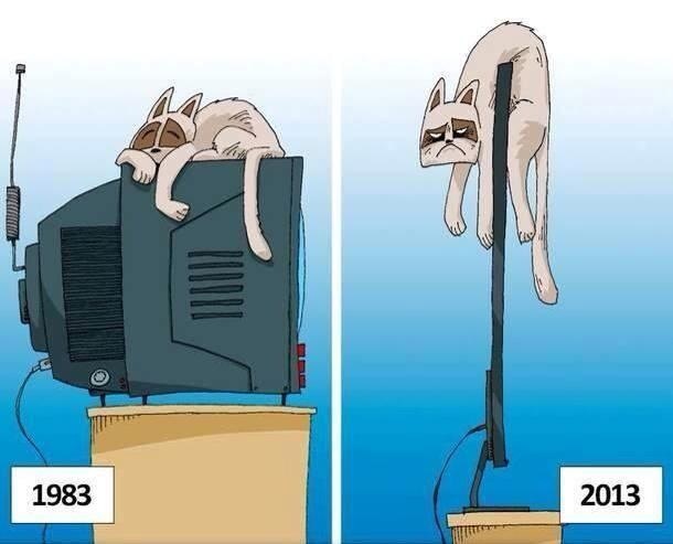 610x493, 54 Kb / кот, тв, рисунок, прогресс