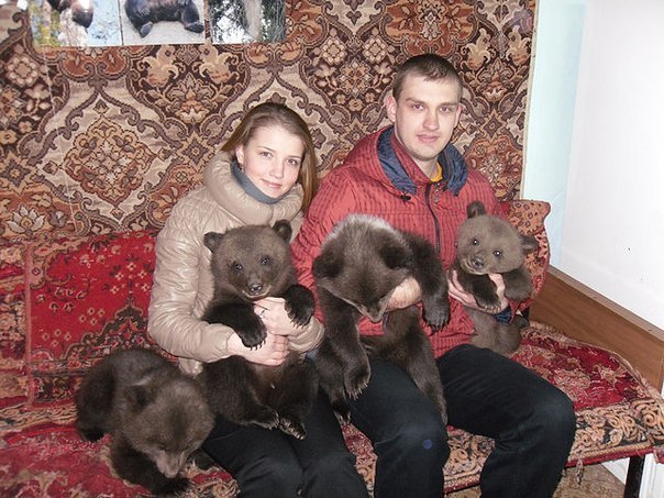 604x453, 93 Kb / медвежата, ковер