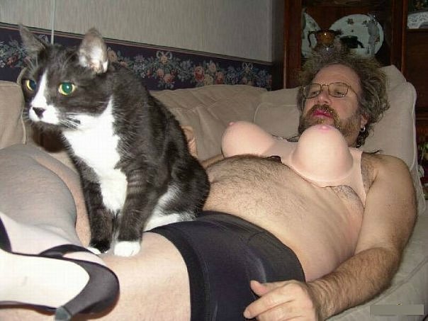 604x453, 51 Kb / котэ, сиськи, очки, борода, лифчик, бюстгальтер