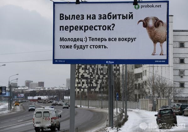 599x421, 75 Kb / плакат, баран