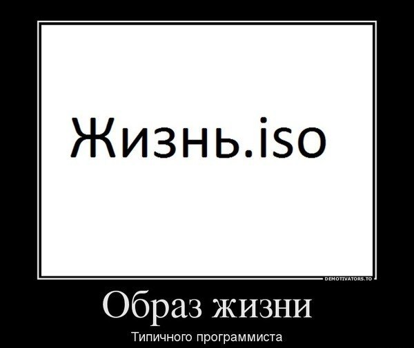 600x505, 23 Kb / образ жизни, iso