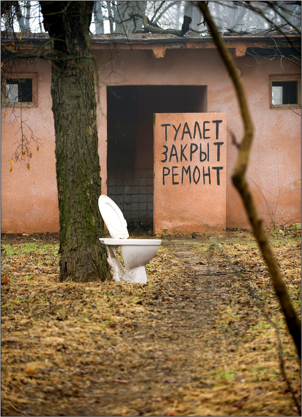 616x850, 299 Kb / туалет, закрыт, унитаз, дерево