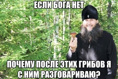 500x334, 64 Kb / поп, грибы, теология