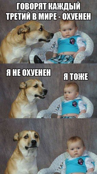 339x604, 49 Kb / пес, ребенок, оптимизм