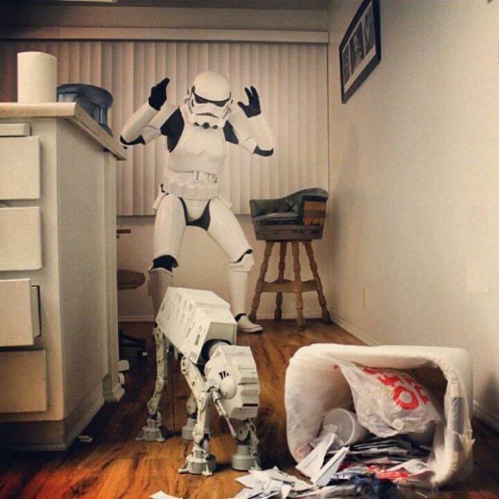 700x700, 58 Kb / star, wars, собака, бардак