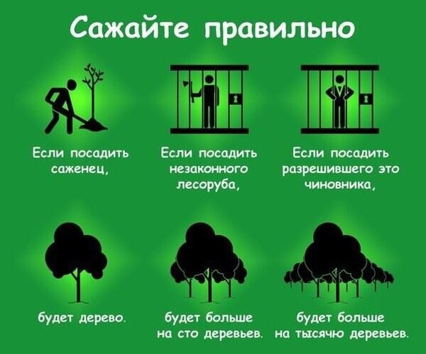 600x499, 47 Kb / деревья, посадка, чиновник, лесоруб