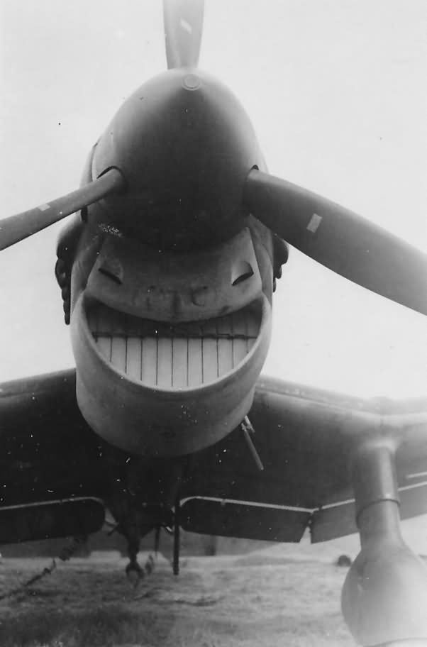 602x912, 28 Kb / Самолёт, улыбка, сирена, винт, Junkers Ju 87