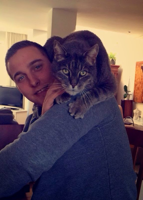500x697, 96 Kb / кошка