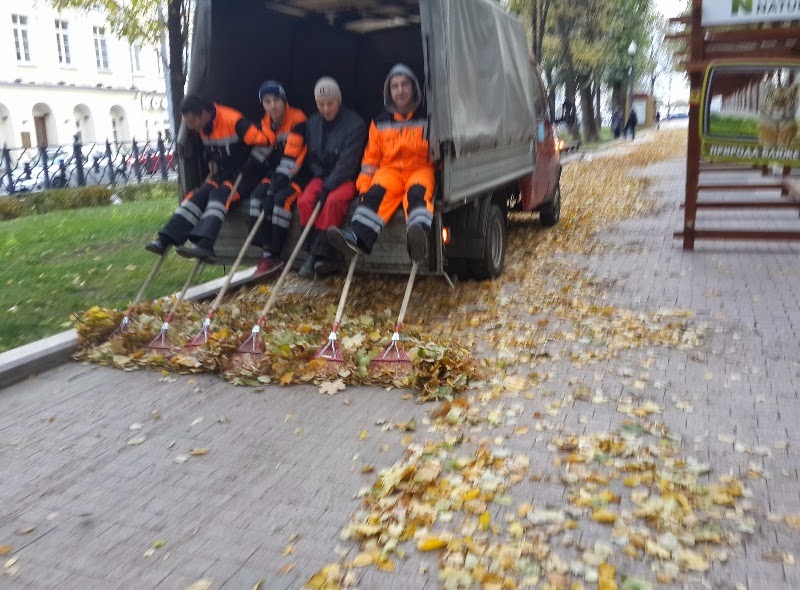 800x590, 144 Kb / дворники, листья
