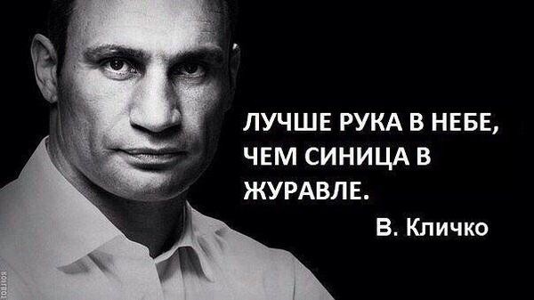 600x337, 38 Kb / кличко, рука, небо, синица, журавль
