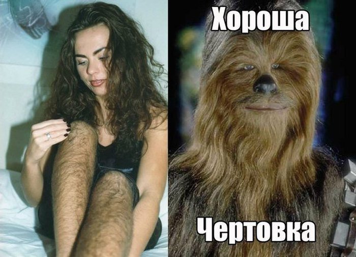 700x505, 75 Kb / чубака, ноги, волосатые