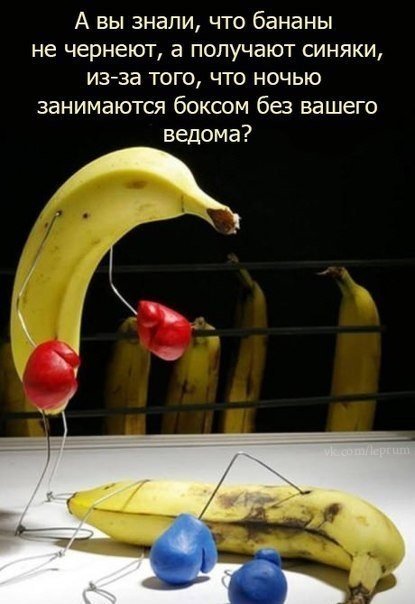 415x604, 45 Kb / бананы, бокс