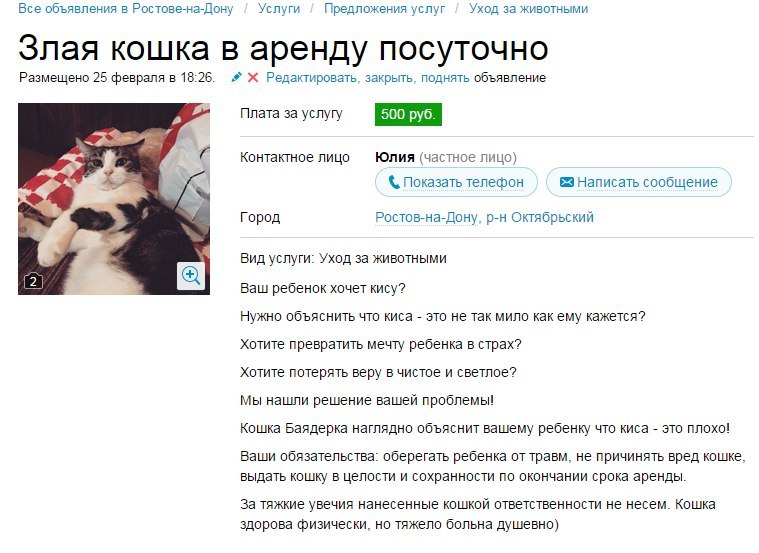 759x553, 89 Kb / Объявление, кошка, злая, аренда, псих