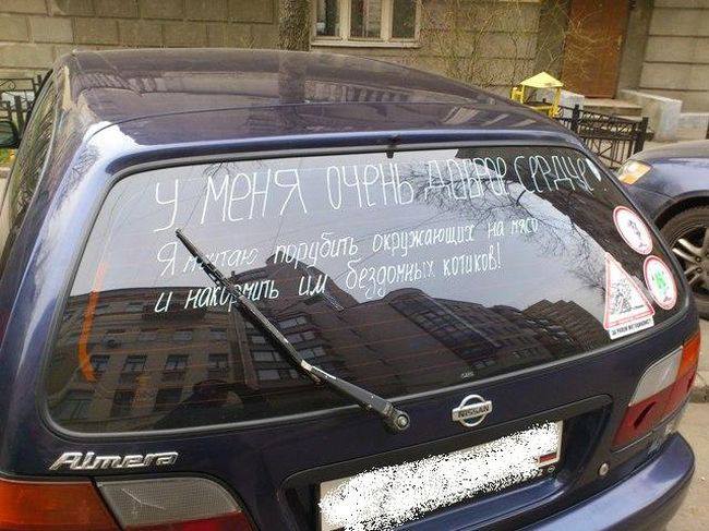 650x487, 64 Kb / машина, надпись, сердце, котики, доброта