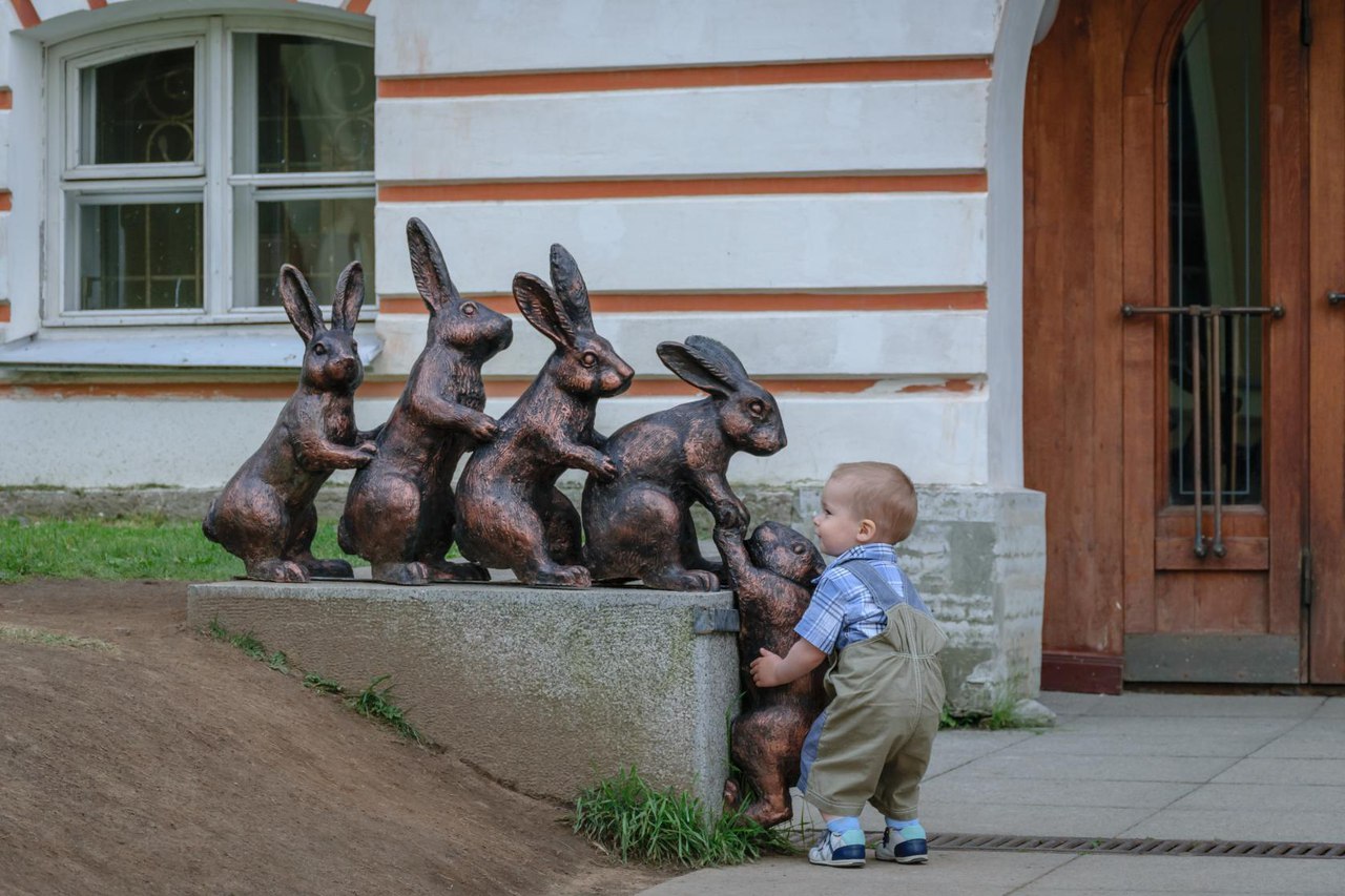 1280x853, 204 Kb / Ребёнок, зайцы, помощь