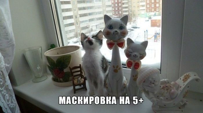 700x393, 65 Kb / кот, подоконник, фигурки, окно