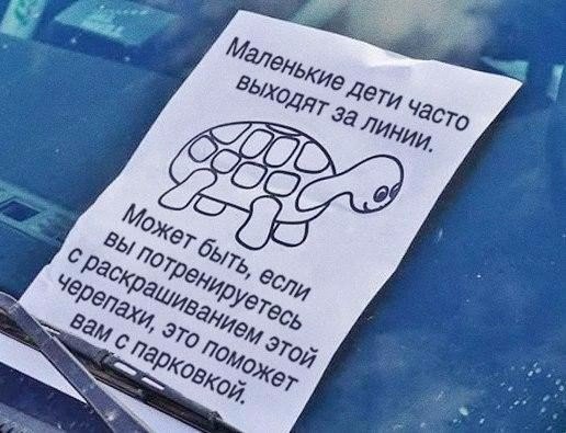 516x395, 53 Kb / Черепаха, дворник, парковка