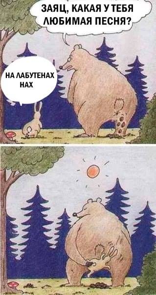 319x604, 38 Kb / лабутены, заяц, медведь, нах