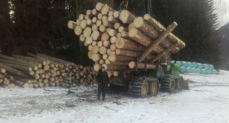 800x429, 97 Kb / лесовоз, брёвна, жадность, форвардер
