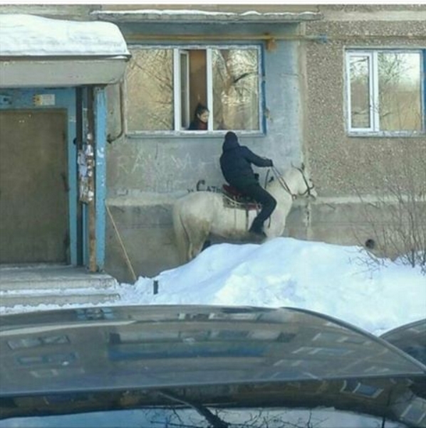 598x602, 201 Kb / конь, окно, принц
