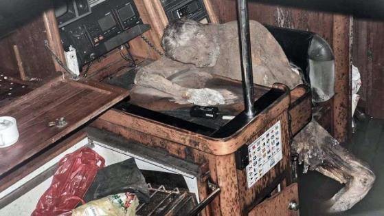 559x314, 45 Kb / мумия, яхта, телефон
