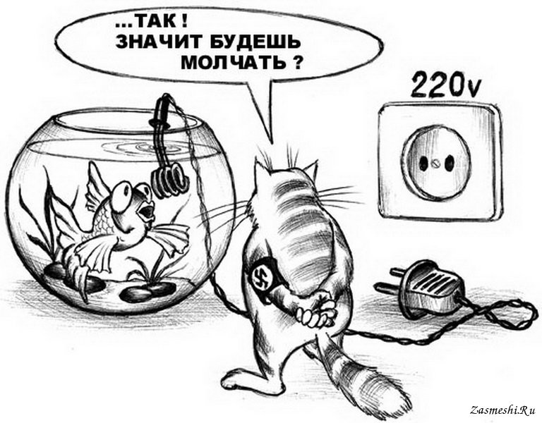 768x600, 94 Kb / кот, аквариум, рыбка, ч/б, свастика, розетка
