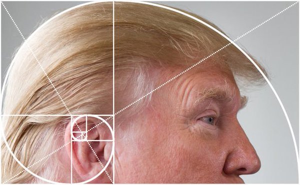 600x371, 48 Kb / Дональд Трамп, золотое сечение, голова, ухо, прическа