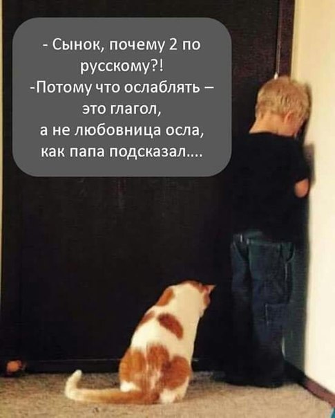 485x604, 40 Kb / кот, ребенок, угол, грамматика