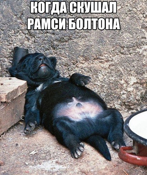508x604, 116 Kb / игра престолов, псо