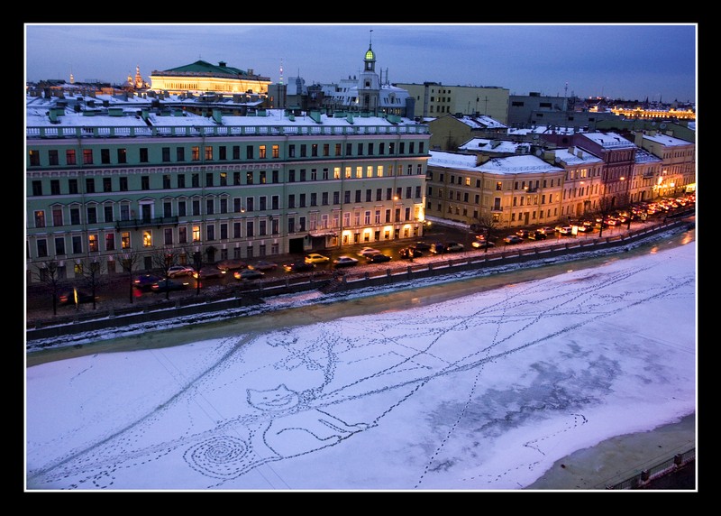 800x572, 131 Kb / спб, снег, кошки