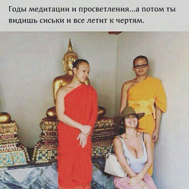 604x604, 205 Kb / Монахи, будда, сиськи