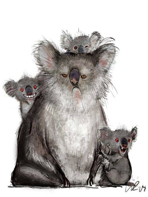 500x664, 46 Kb / коалы, Wiebke, Rauers