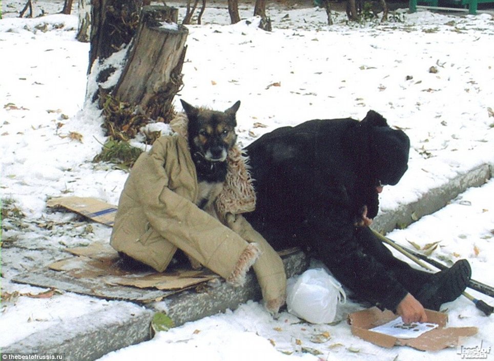 964x704, 134 Kb / собака, тулуп, нищий, зима