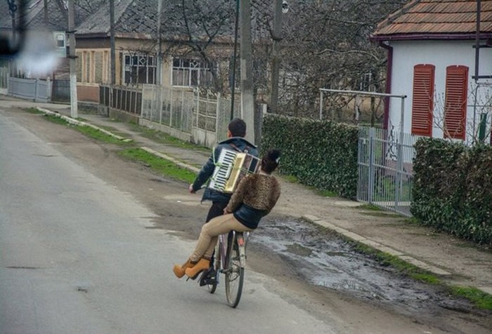 700x476, 94 Kb / велосипед, баян, гармонь, аккордеон