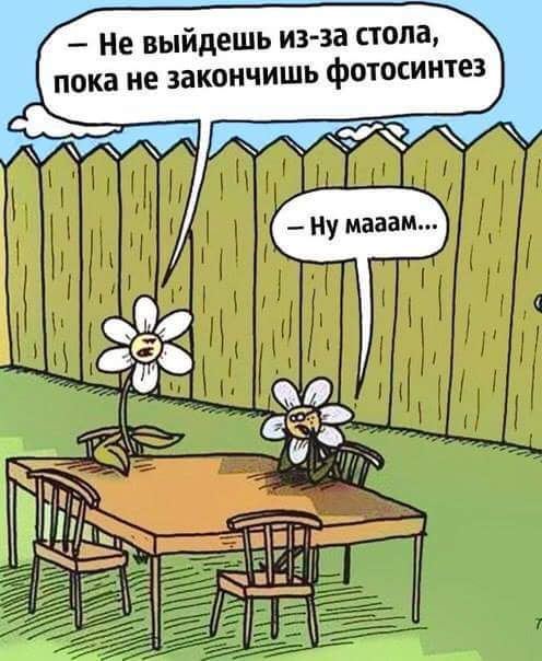 496x604, 46 Kb / цветы, стол, еда, мама
