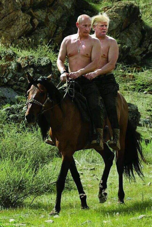 640x952, 210 Kb / Путин, Трамп, конь, политота
