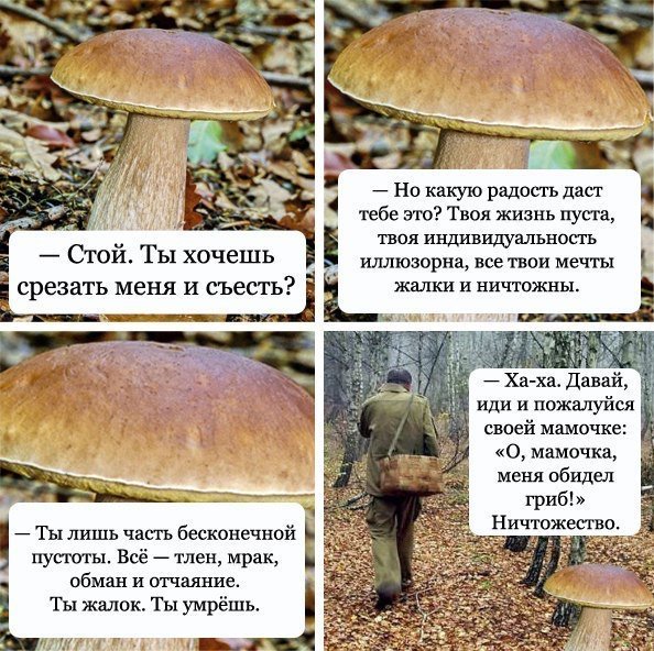 594x592, 114 Kb / Гриб, ничтожество