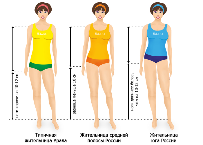 700x500, 126 Kb / ноги, попа, длина