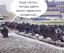 голуби, вылет, эскадрилья