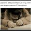 пальтишко, мудаки, Дед Мороз, девочка