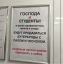 сало, чеснок, настои, грипп, спид
