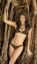 купальник, коричневый, корни, Elizabeth Hurley