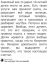 енот, разрушитель, свадьба, друг
