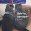 коты, ковер