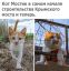 Мостик, кот, крым