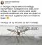комар, детка, Господи, конфетка