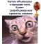 кот, фаберже, яйца