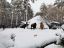 Новосибирск, зоопарк, верблюд, снег